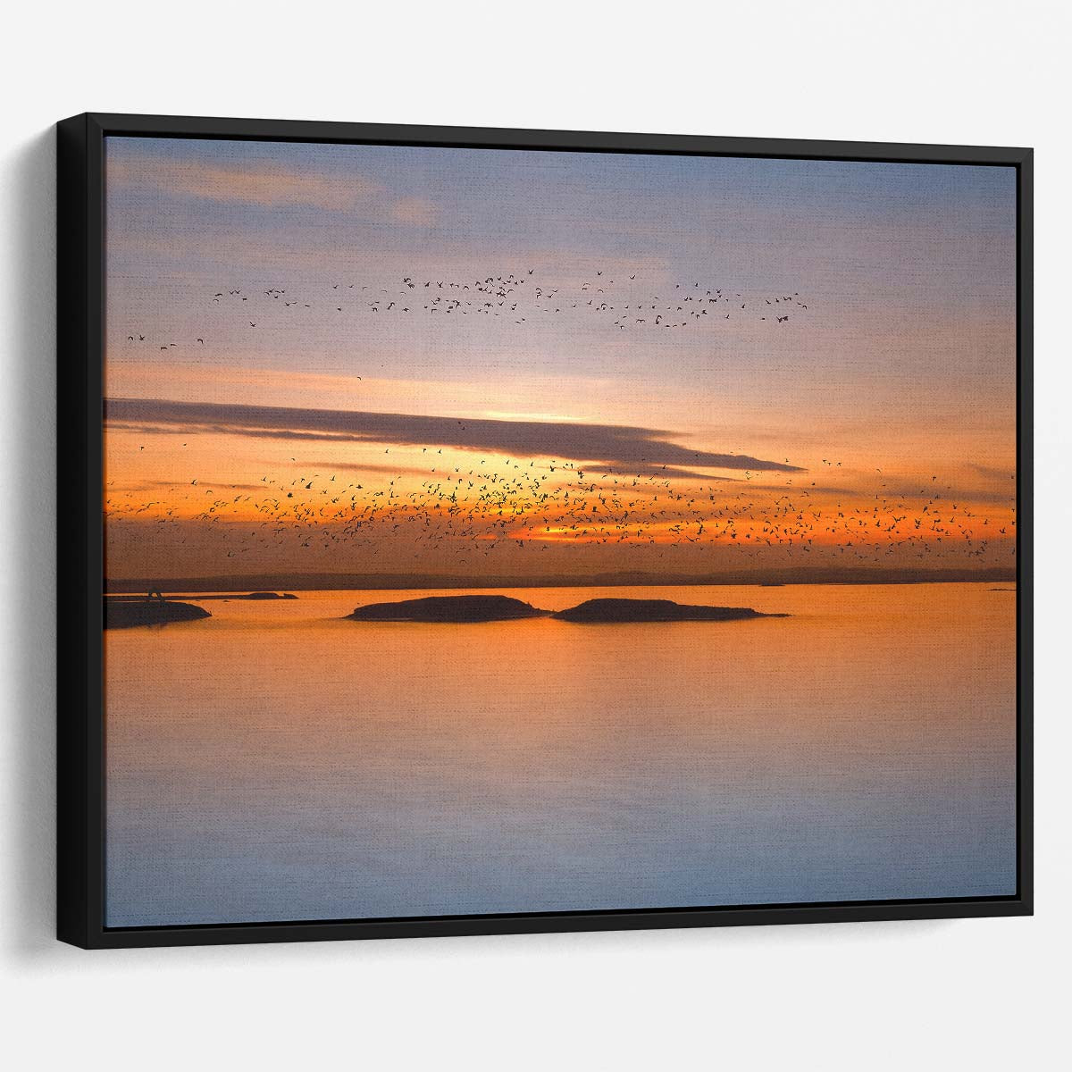 Twilight Birds Migration Over Mietkow Lake Wall Art by Luxuriance Designs. Made in USA.
