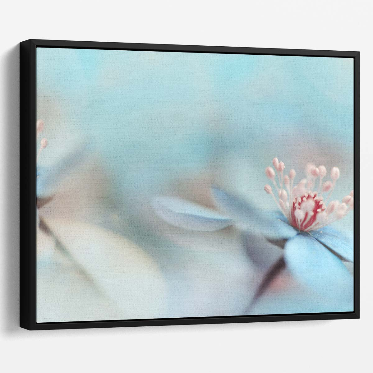 Serene Pastel Duo Blooms Macro Wall Art by Luxuriance Designs. Made in USA.