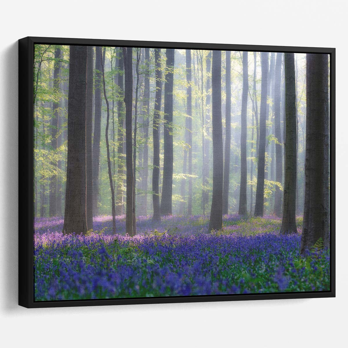 Misty Bluebell Forest Landscape Summer Floral Photography Wall Art