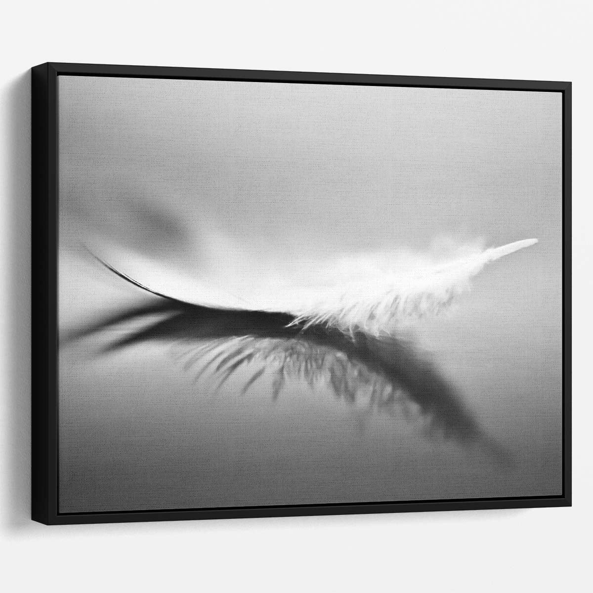 Delicate Feather Abstract Monochrome Wall Art by Luxuriance Designs. Made in USA.