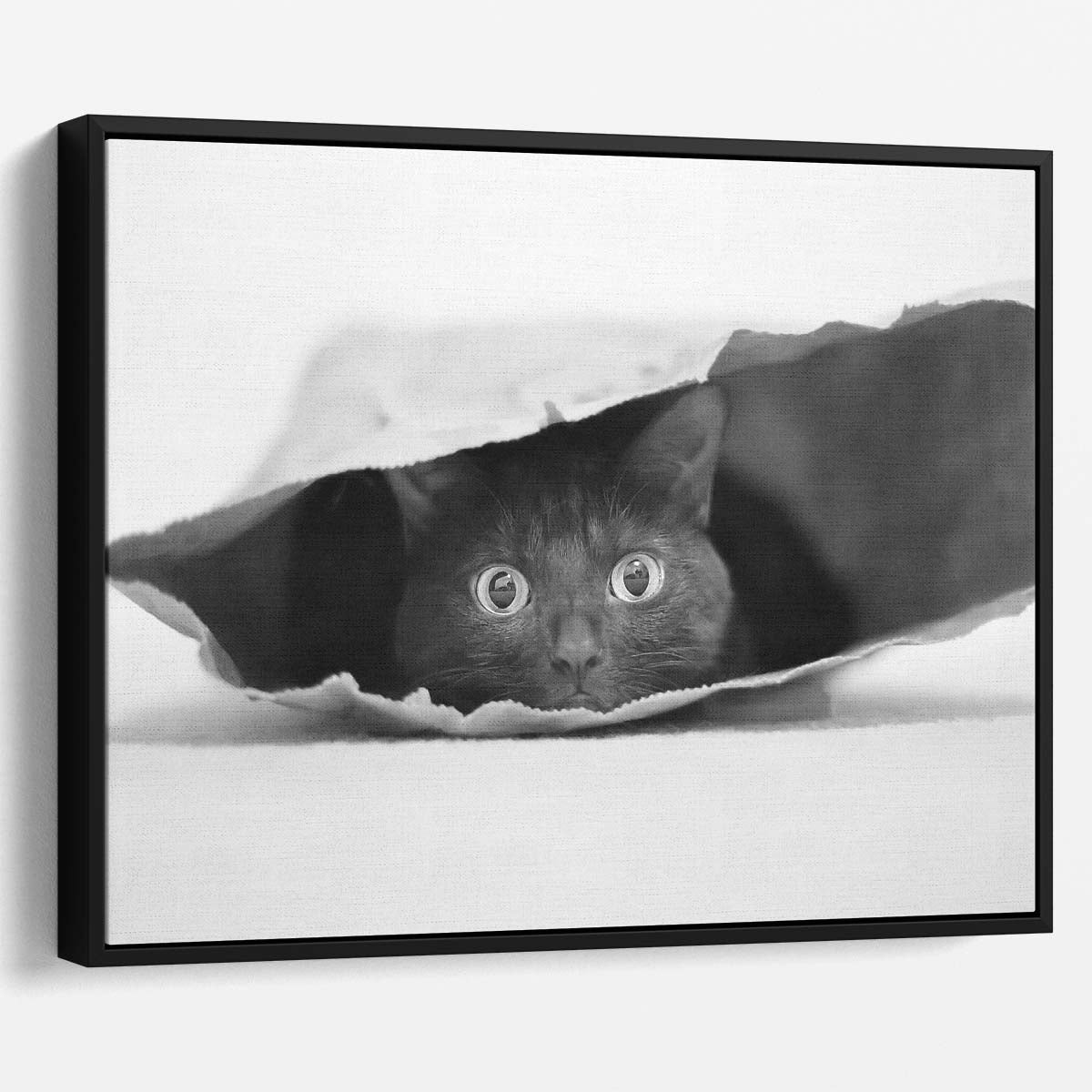 Curious Cat in Shopping Bag Humor Monochrome Wall Art by Luxuriance Designs. Made in USA.