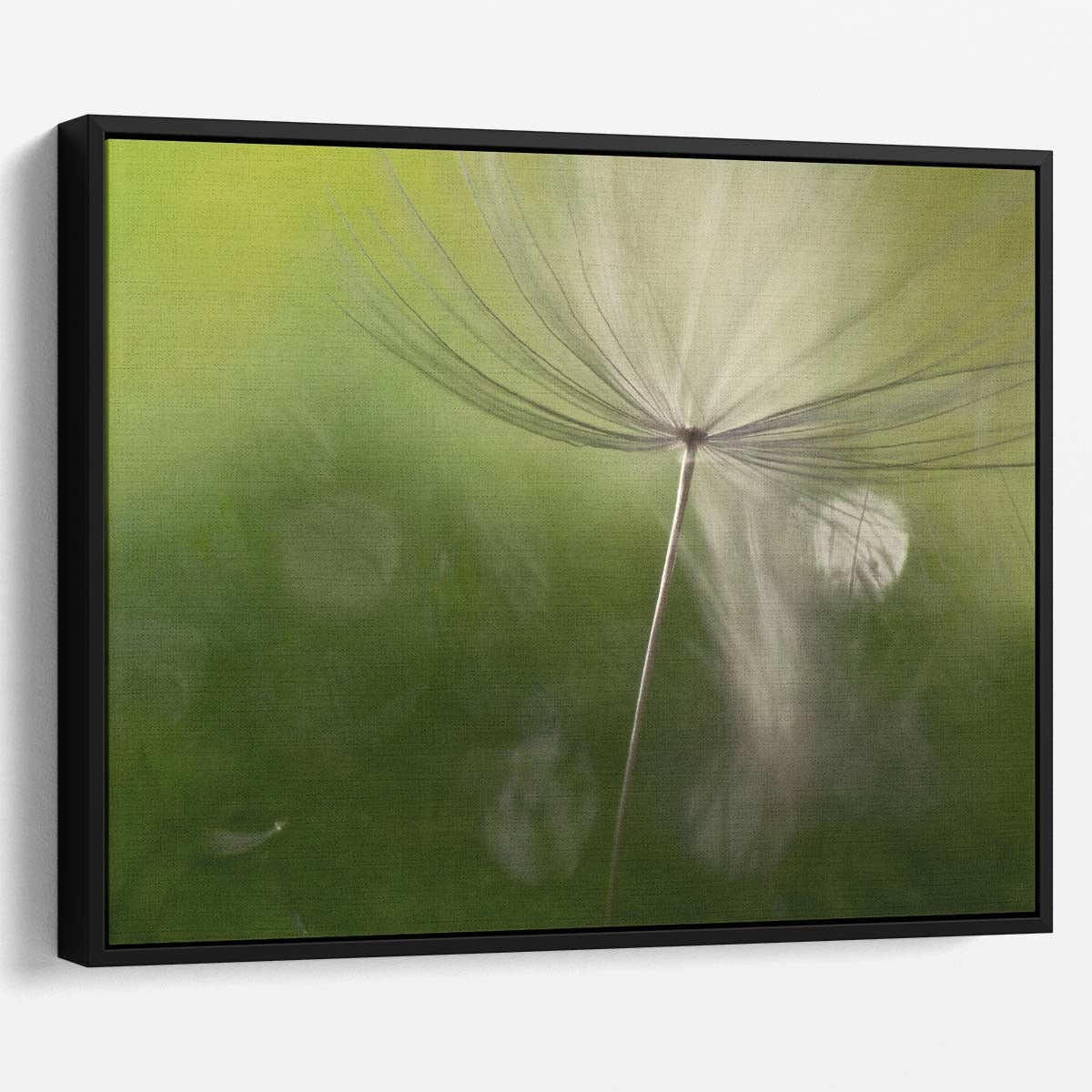 Delicate Green Dandelion Feather Macro Floral Wall Art by Luxuriance Designs. Made in USA.