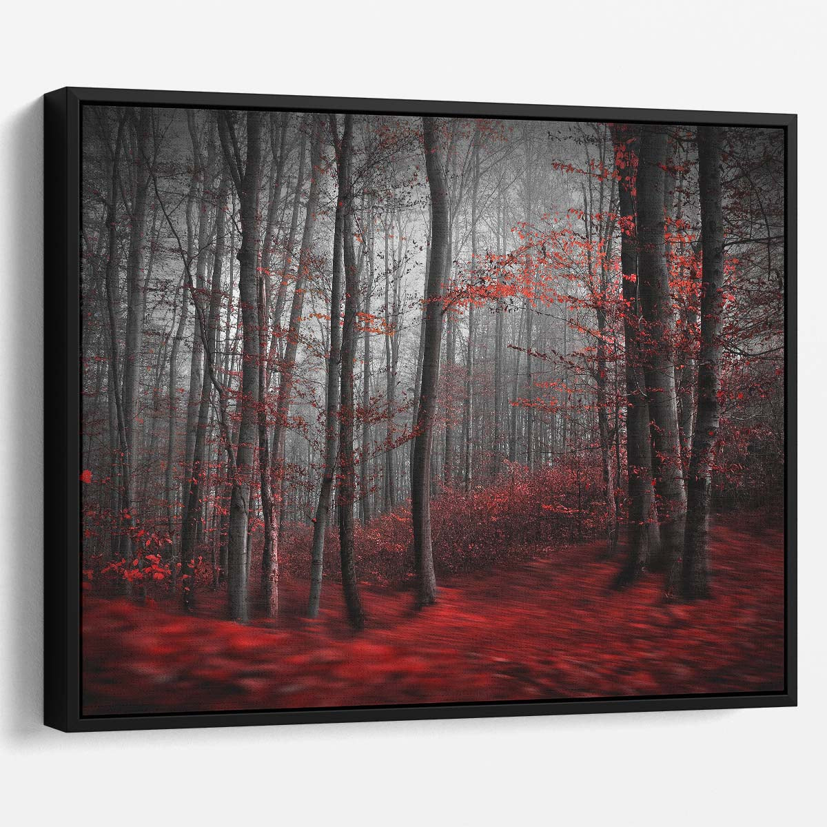 Surreal Autumn Forest & River Landscape Photography Wall Art