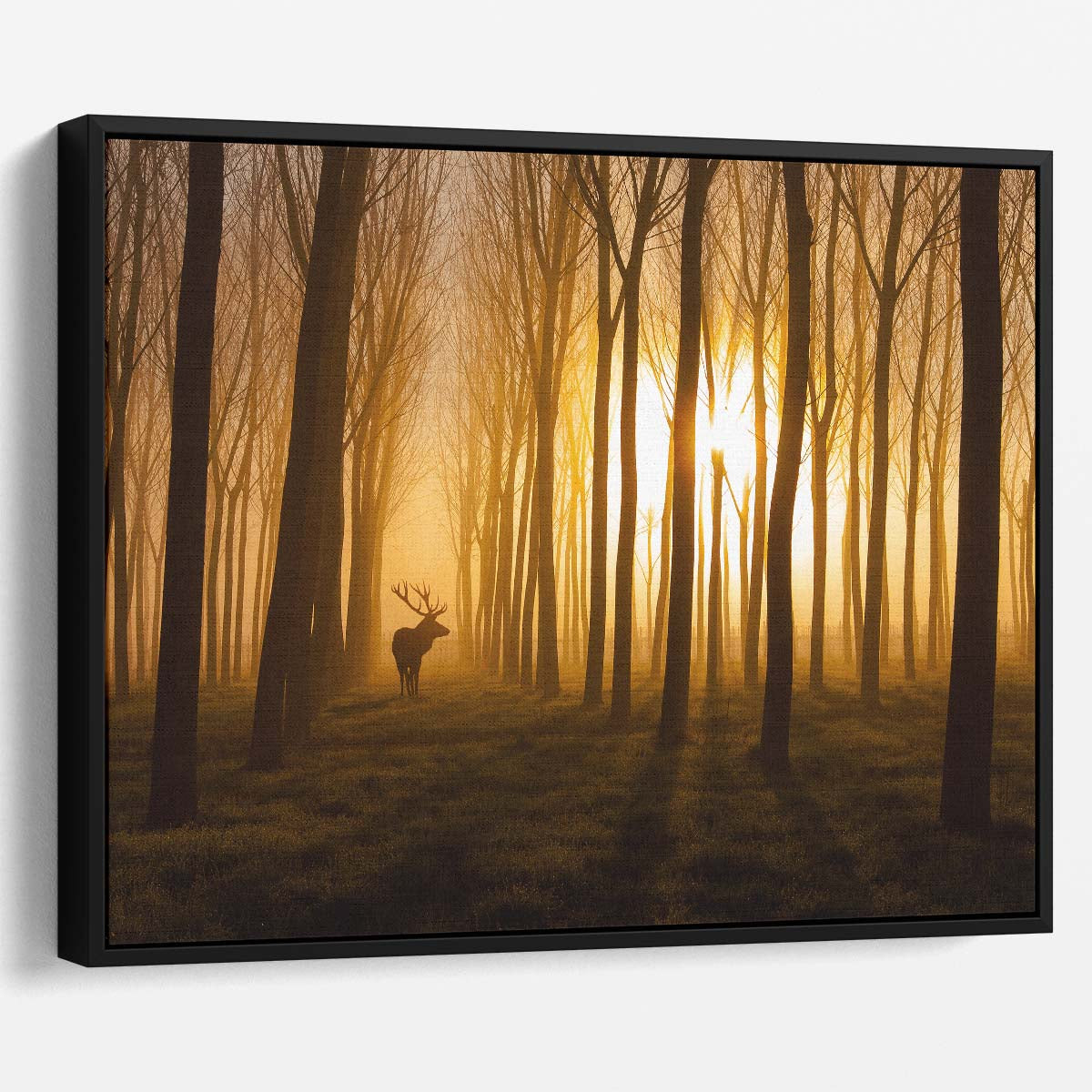 Majestic Deer at Sunrise Foggy Forest Landscape Photography Wall Art