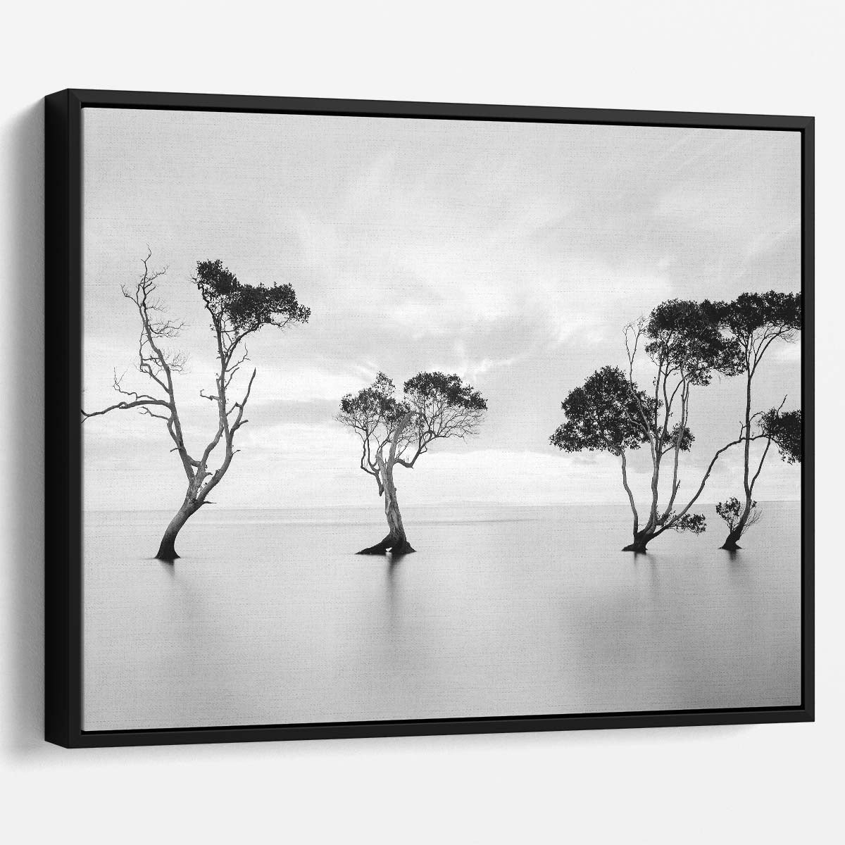 Serene Moreton Bay Trees Monochrome Seascape Wall Art by Luxuriance Designs. Made in USA.