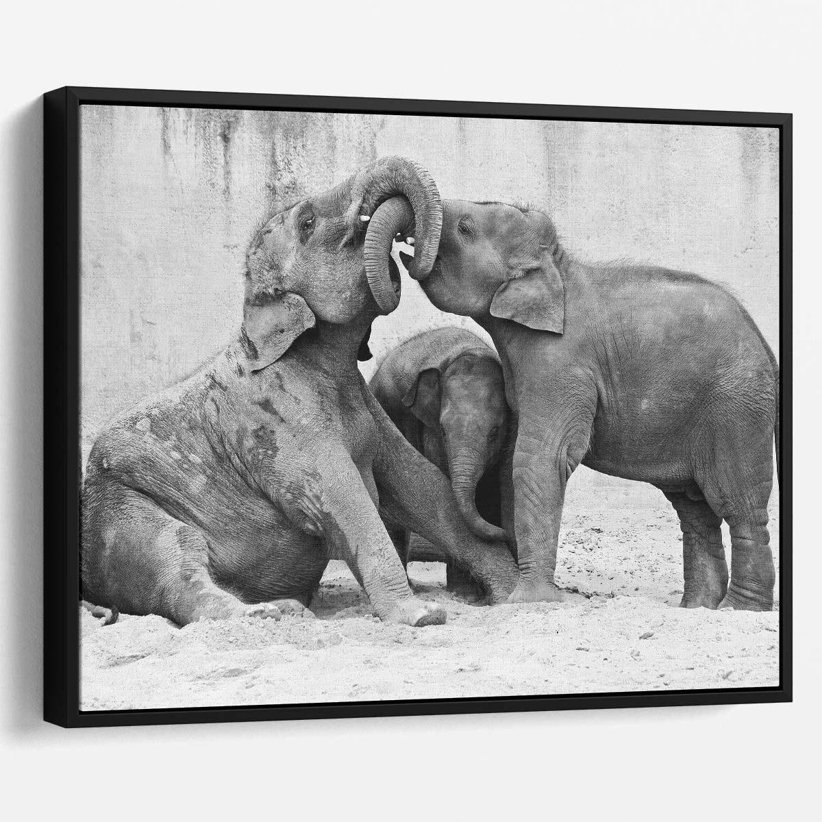 Monochrome Elephant Family Embrace & Play Wall Art by Luxuriance Designs. Made in USA.