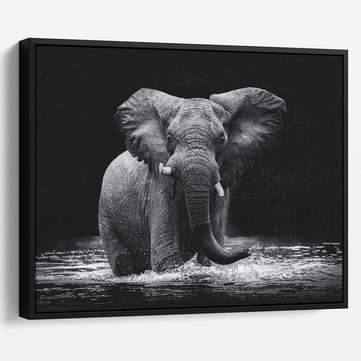 Monochrome Elephant Swimming Kafue River Wall Art by Luxuriance Designs. Made in USA.