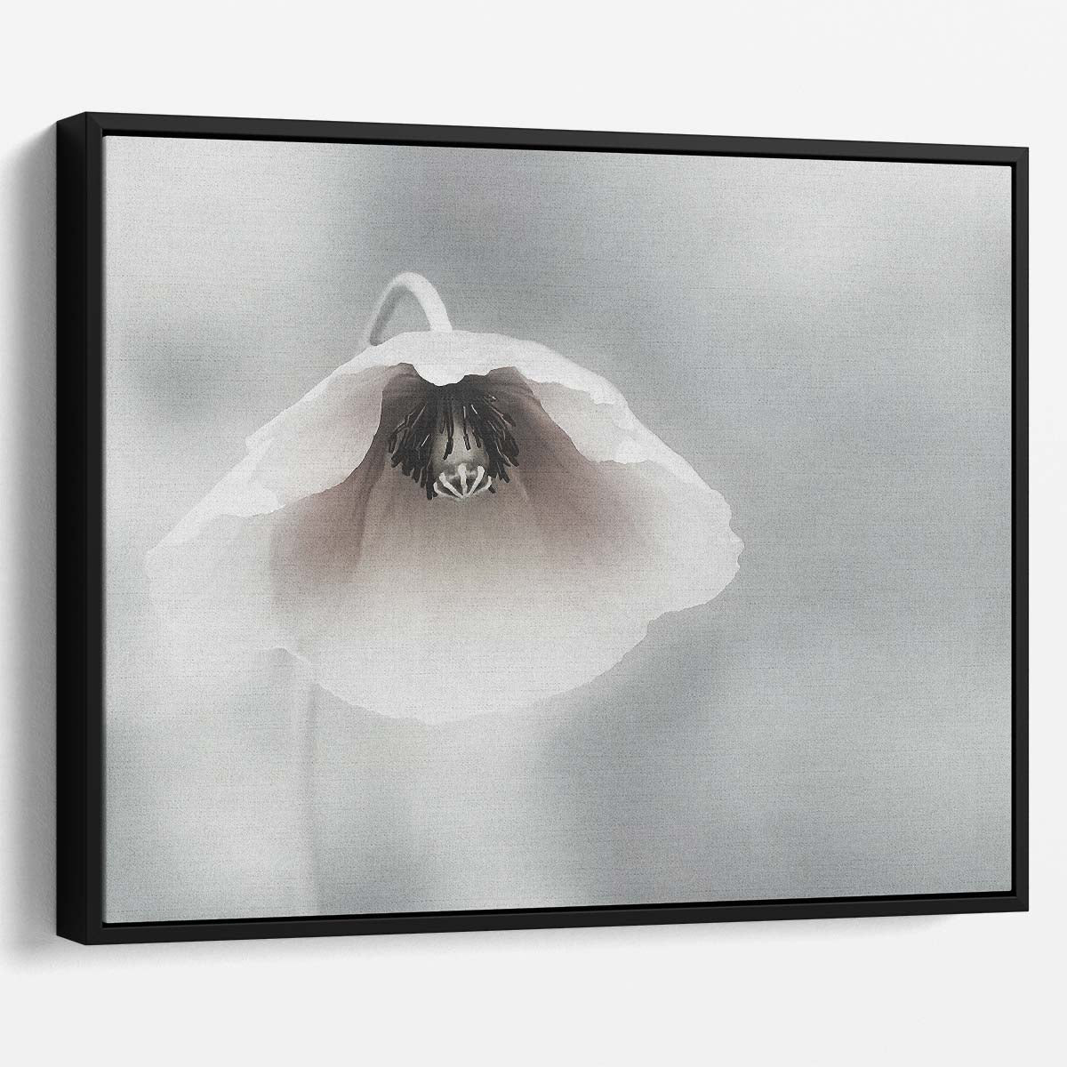 Delicate White Poppy Floral Macro Garden Wall Art by Luxuriance Designs. Made in USA.