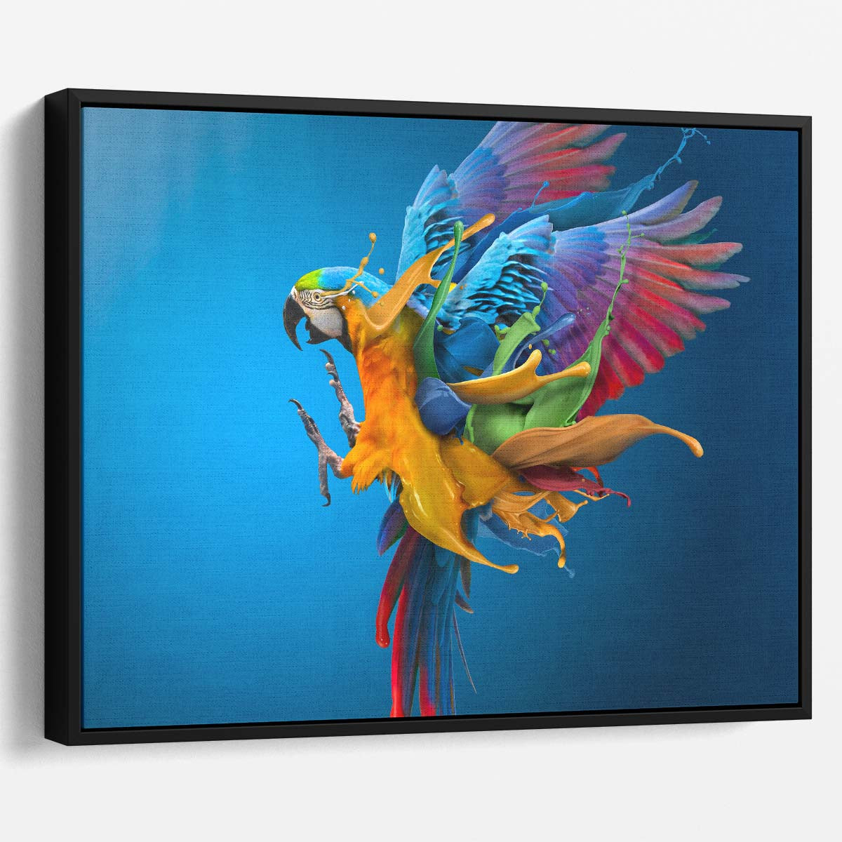 Surreal Colorful Parrot in Flight Dramatic Photographic Art Wall Art