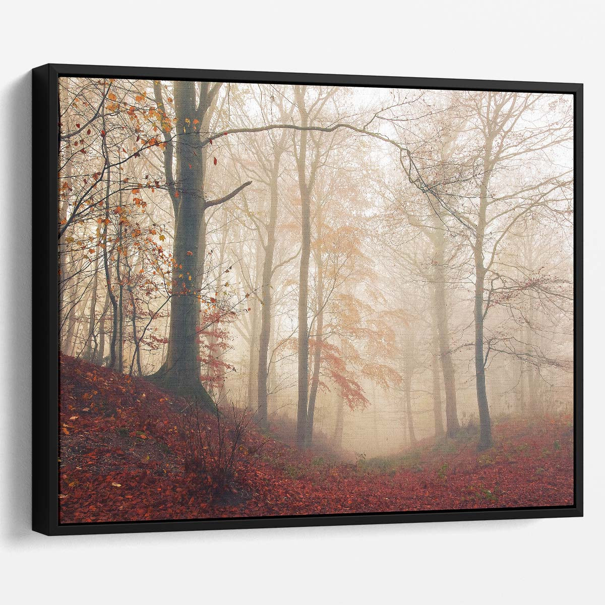 Autumnal Mist & Red Woods Forest Landscape Wall Art by Luxuriance Designs. Made in USA.