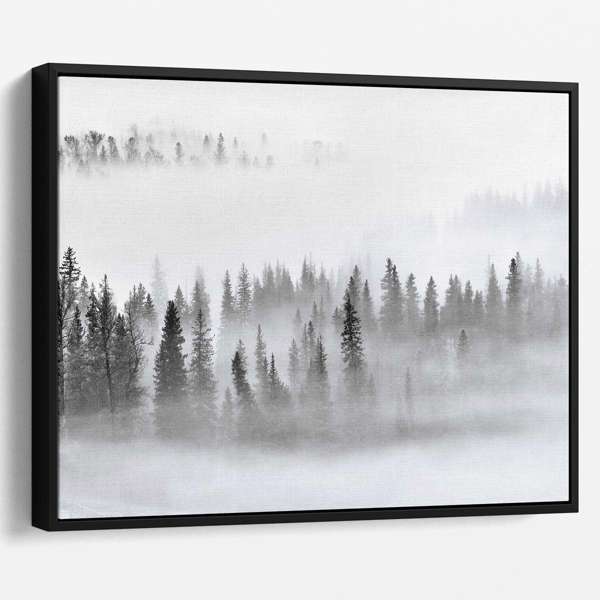 Dreamy Foggy Pine Forest Panorama in Monochrome Wall Art