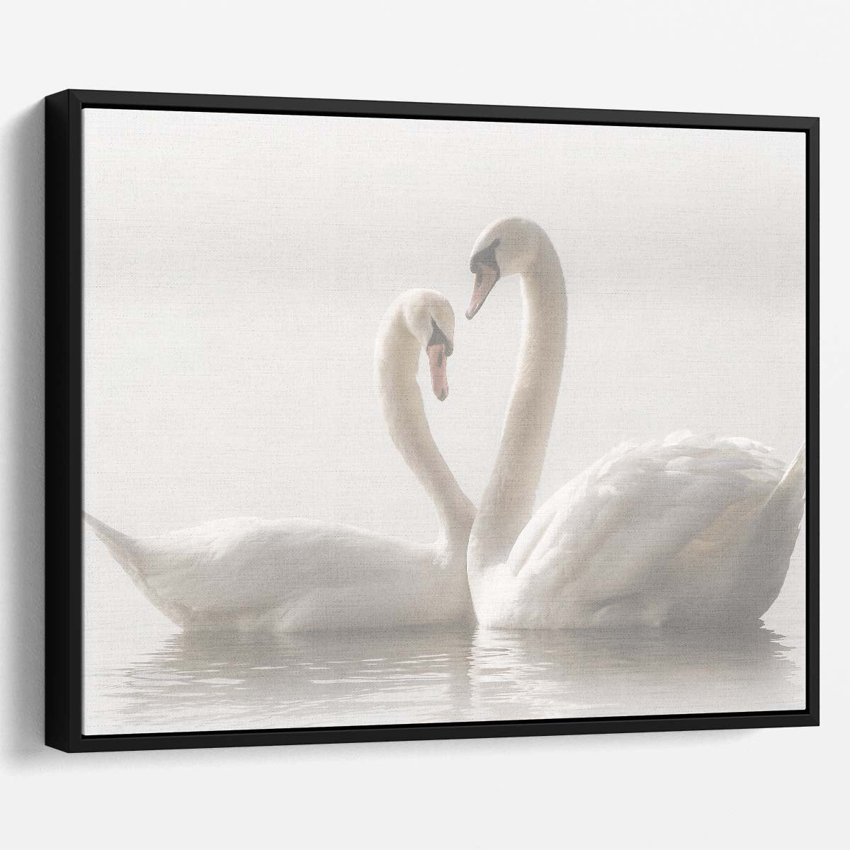 Romantic Misty Swan Couple in Tranquil German Waters Wall Art