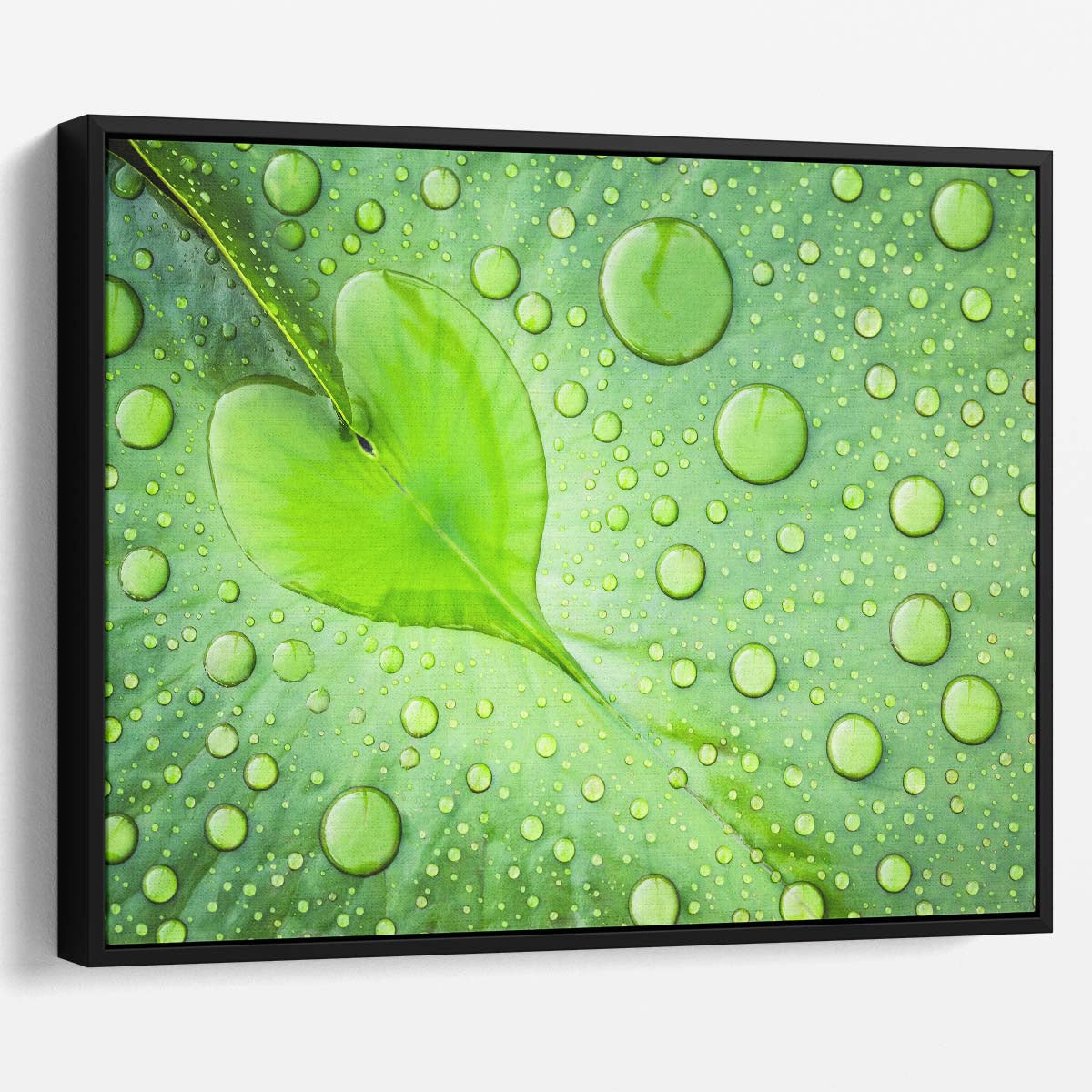 Romantic Green Leaf Heart & Water Droplets Wall Art by Luxuriance Designs. Made in USA.