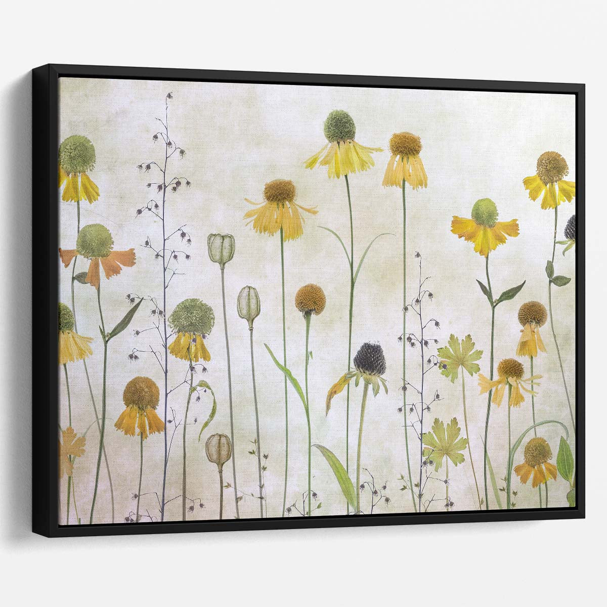Helenium Summer Flowers Textured Botanical Photography by Mandy Disher Wall Art