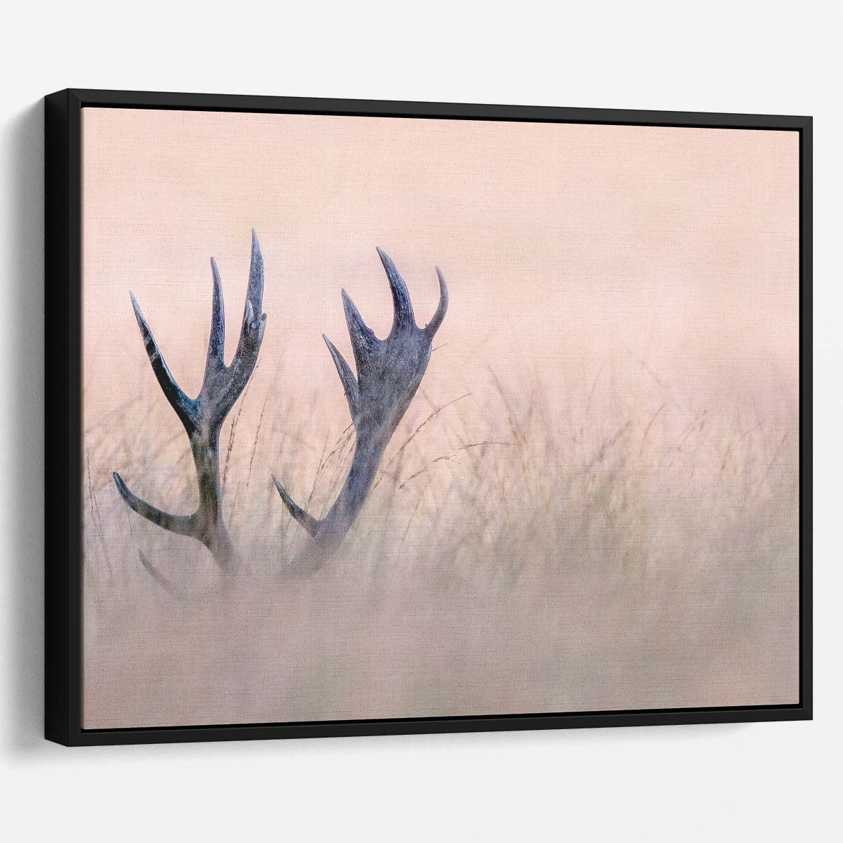 Hidden Stag Antlers in Nature Panoramic Wildlife Photography Wall Art