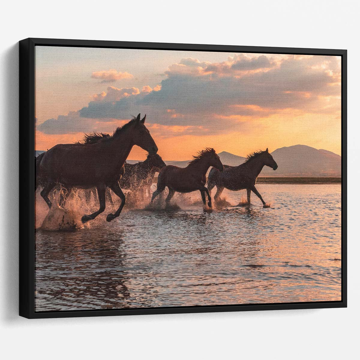 Wild Horses Galloping at Sunset Beach Photography Wall Art