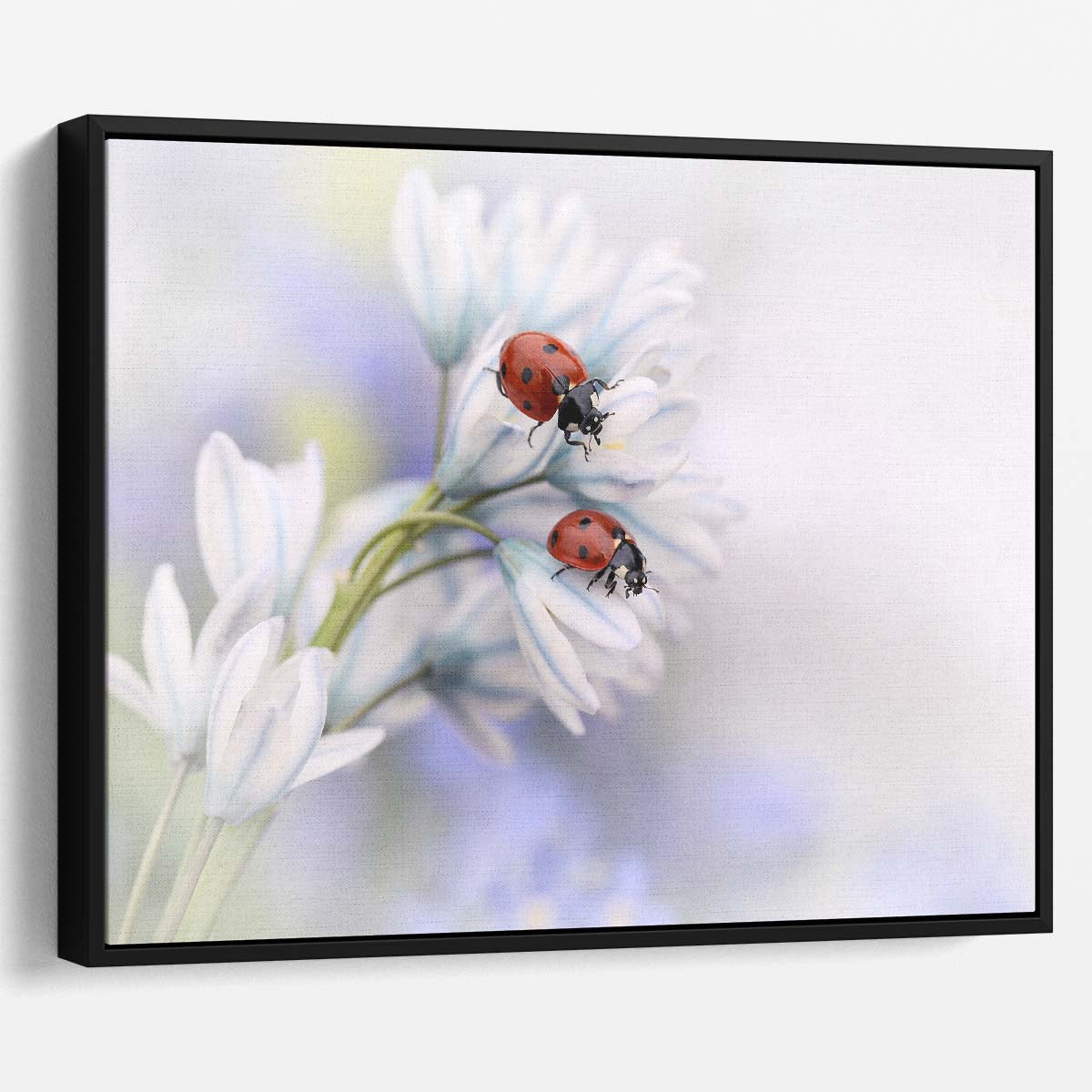 Romantic Ladybird Duo on Delicate Flower Wall Art by Luxuriance Designs. Made in USA.