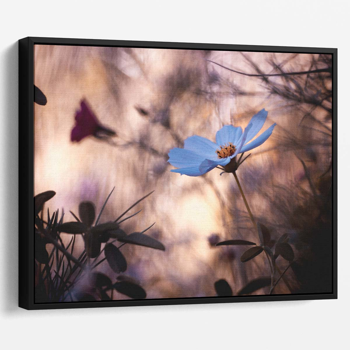 Stunning Macro Blue Cosmos Floral Garden Wall Art by Luxuriance Designs. Made in USA.
