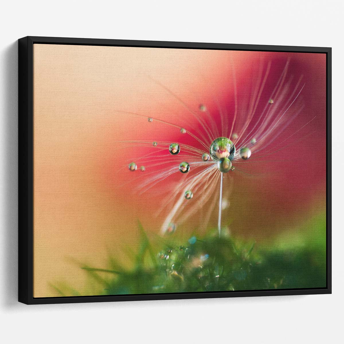 Red Macro Dandelion Seed Droplets Bokeh Wall Art by Luxuriance Designs. Made in USA.
