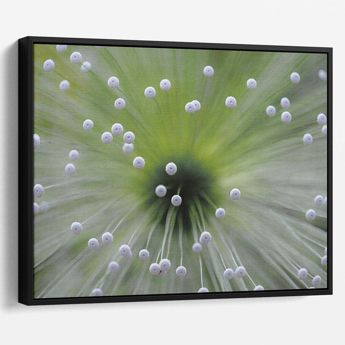 Delicate Macro Floral Bokeh Brazil Wall Art by Luxuriance Designs. Made in USA.