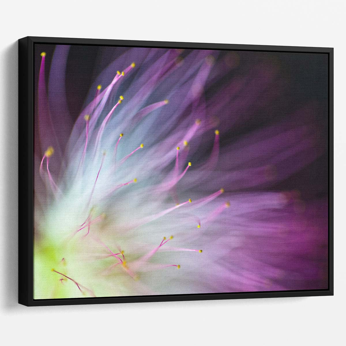 Abstract Purple Albizia Macro Floral Explosion Wall Art by Luxuriance Designs. Made in USA.