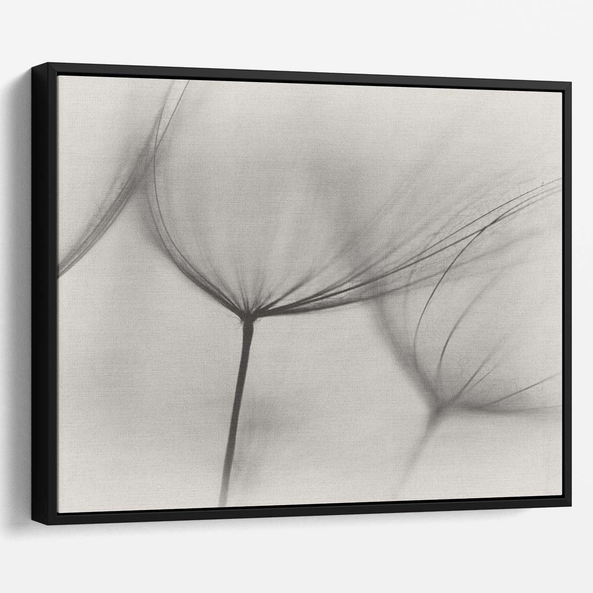 Serene Minimalist Dandelion Macro Wall Art by Luxuriance Designs. Made in USA.