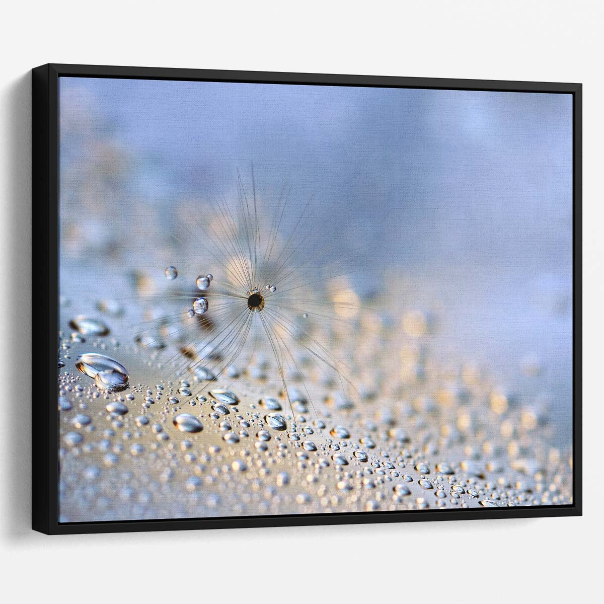 Delicate Feather & Seed Macro Droplets Wall Art by Luxuriance Designs. Made in USA.