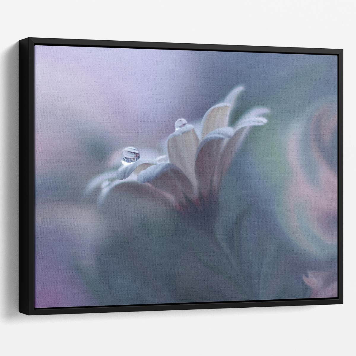 Delicate Floral Dewdrops Macro Pastel Wall Art by Luxuriance Designs. Made in USA.