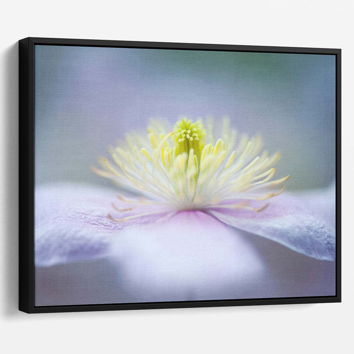 Delicate Pink Mayleen Clematis Macro Floral Wall Art by Luxuriance Designs. Made in USA.