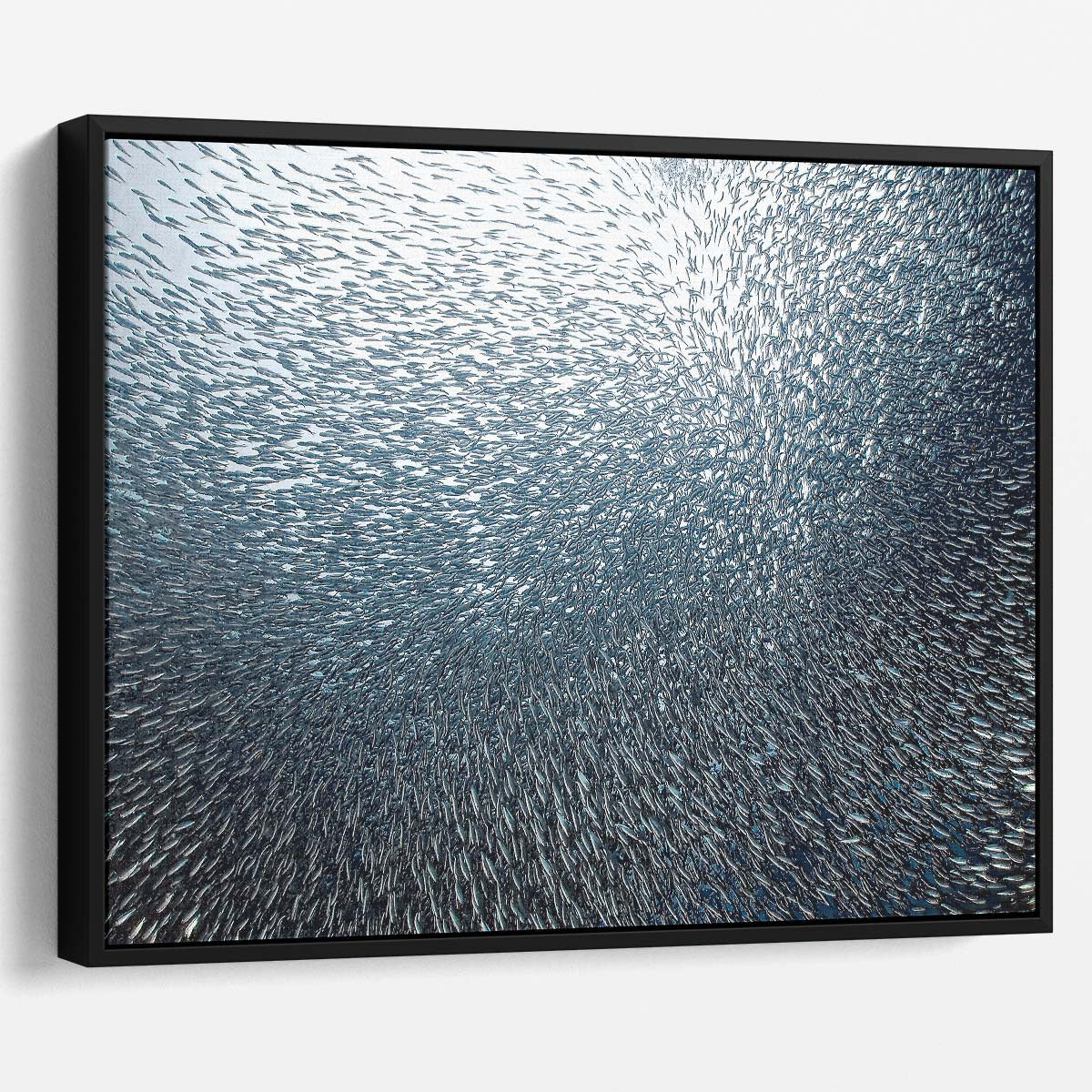 Moalboal Sardine Shoal Explosion Underwater Wall Art by Luxuriance Designs. Made in USA.