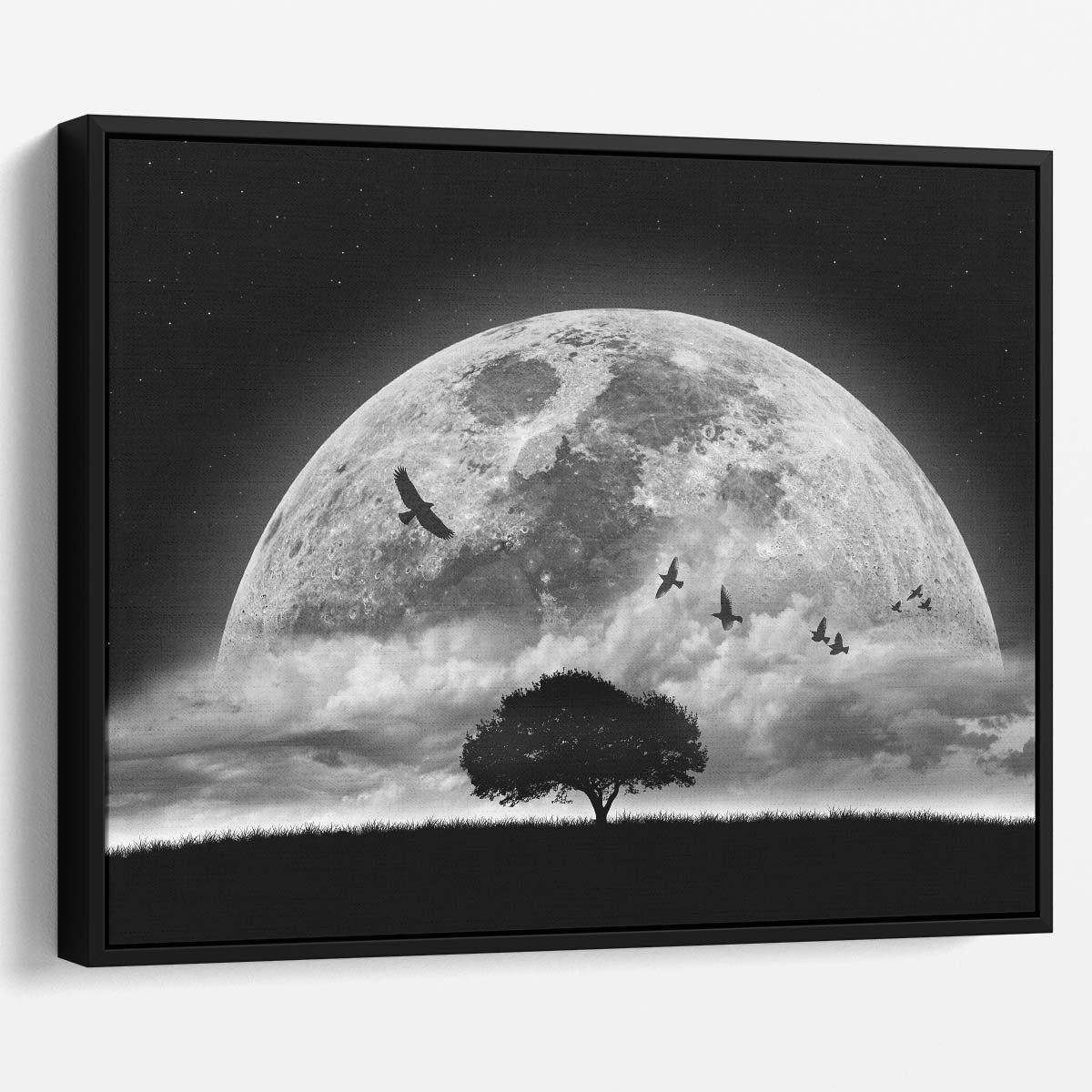 Surreal Moonlit Sky & Birds Montage Wall Art by Luxuriance Designs. Made in USA.