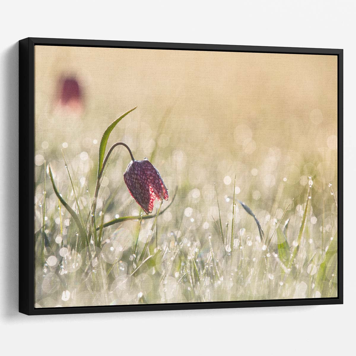 Dawn's Delicate Dew Dutch Floral Macro Wall Art by Luxuriance Designs. Made in USA.