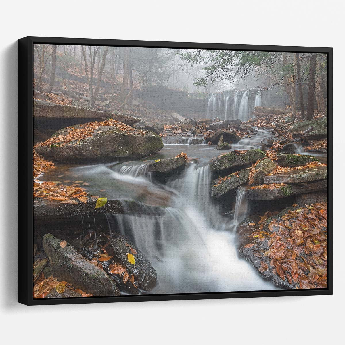 Autumn Morning Mist Waterfall in Ricketts Glen Wall Art by Luxuriance Designs. Made in USA.