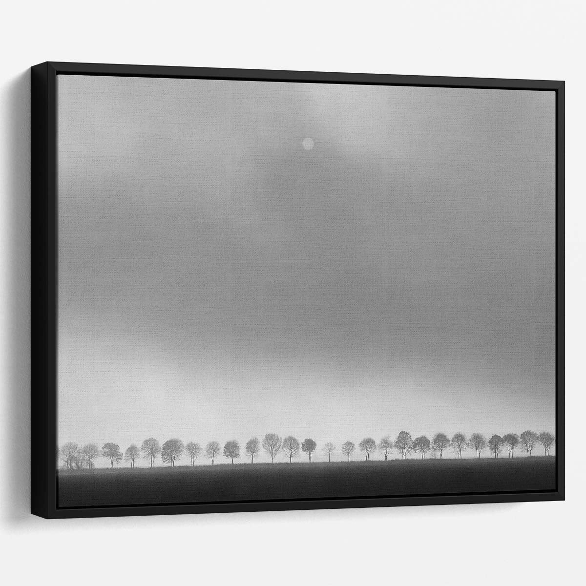 Moonlit Monochrome Tree Panorama Dutch Landscape Wall Art by Luxuriance Designs. Made in USA.