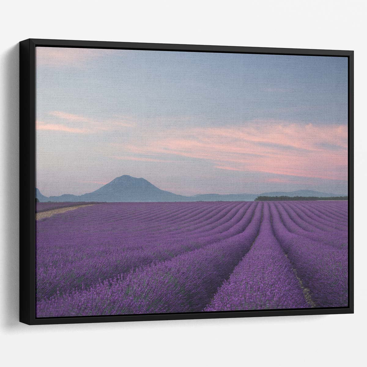 Provence Lavender Fields Floral Landscape Wall Art by Luxuriance Designs. Made in USA.