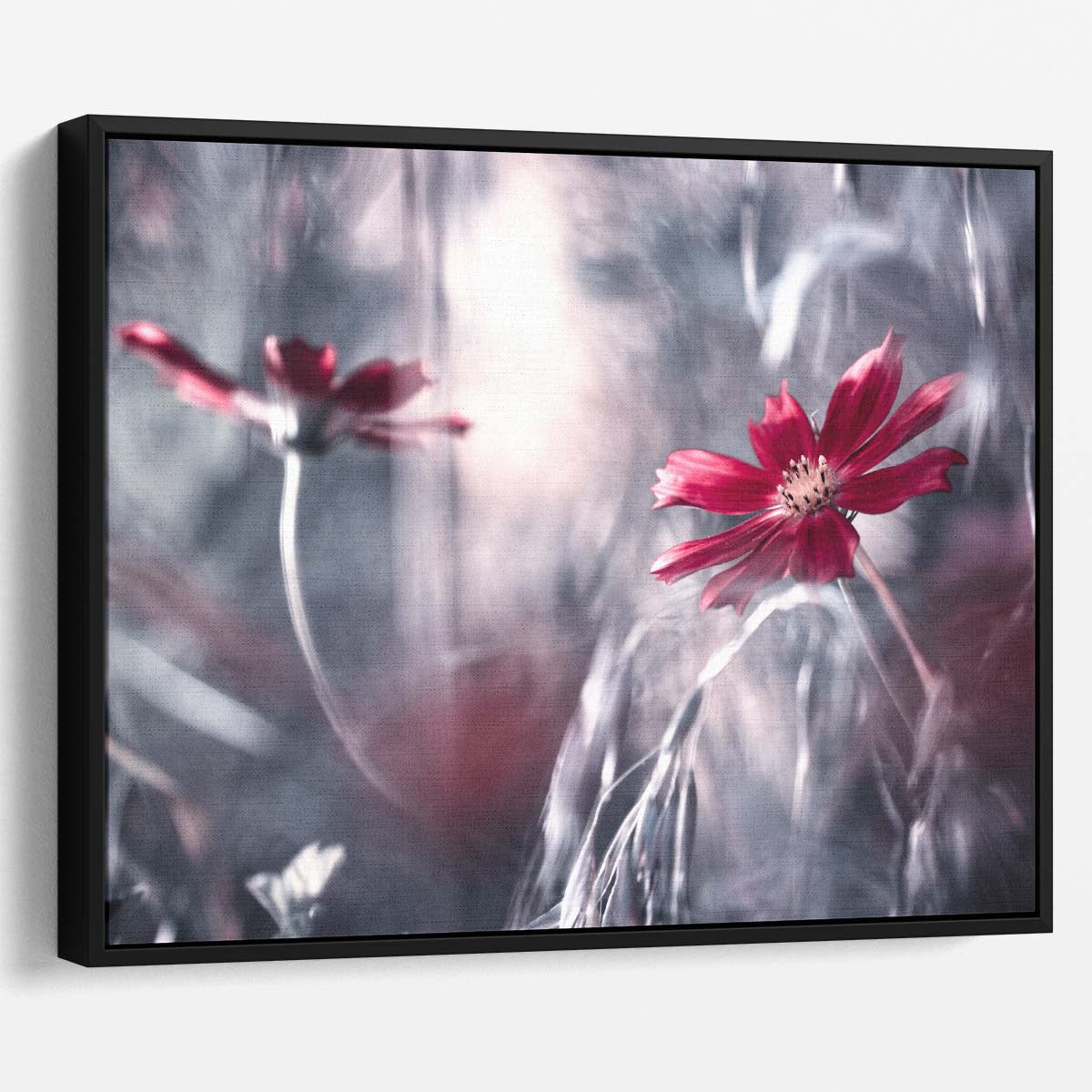 Red Cosmos Flower Macro Photography Romantic Floral Bokeh Wall Art
