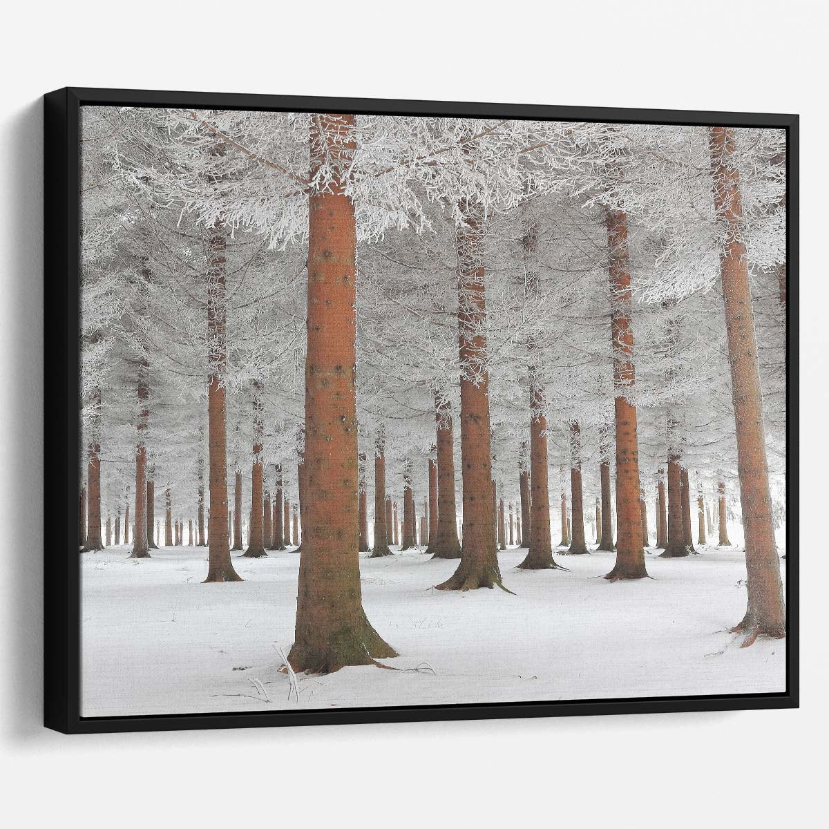 Frosty Serbian Winter Forest Snowscape Wall Art by Luxuriance Designs. Made in USA.