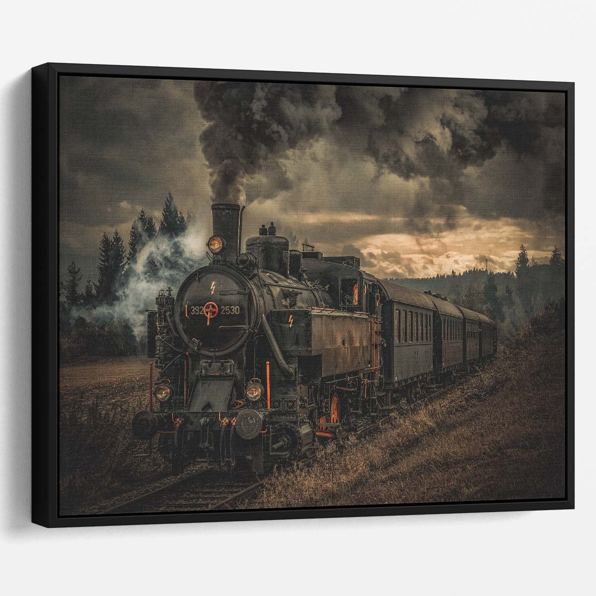 Vintage Steam Train Engine Action Photography Wall Art