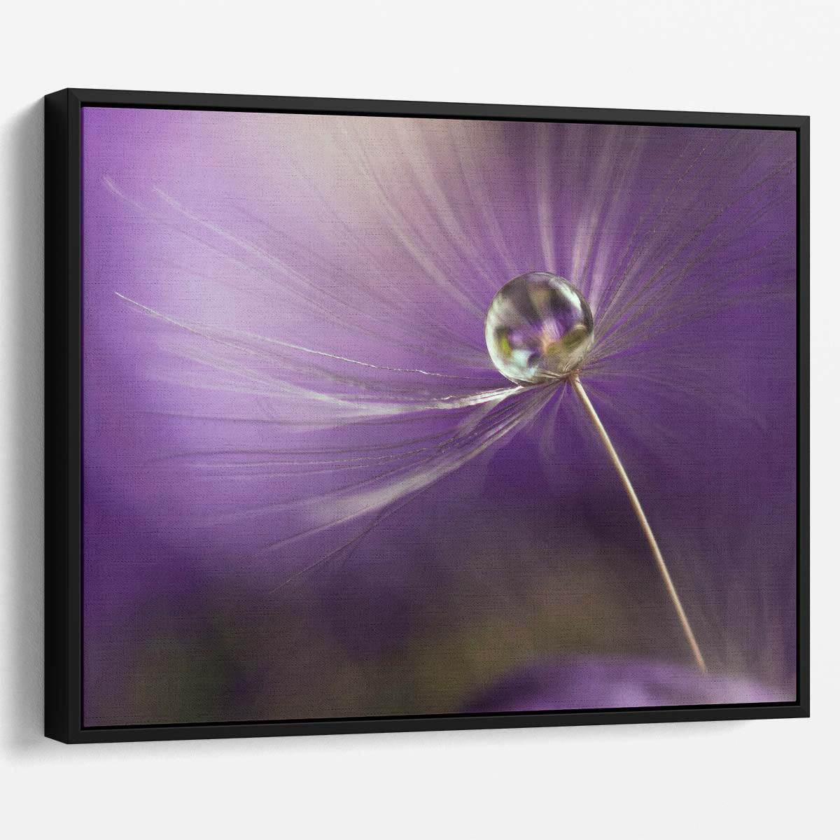 Delicate Purple Feather & Water Drop Macro Wall Art by Luxuriance Designs. Made in USA.