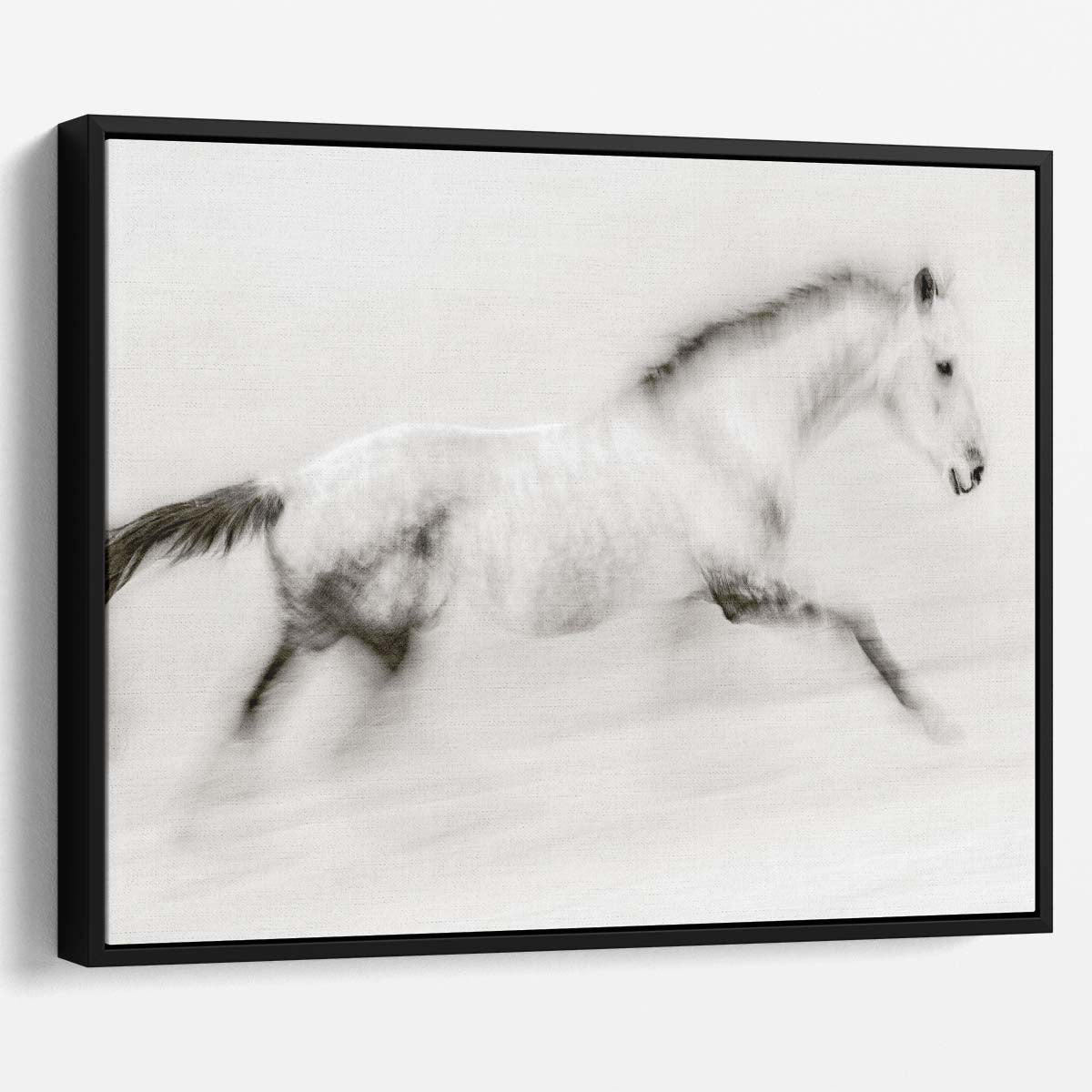 Camargue Stallion in Motion Abstract Equestrian Wall Art by Luxuriance Designs. Made in USA.