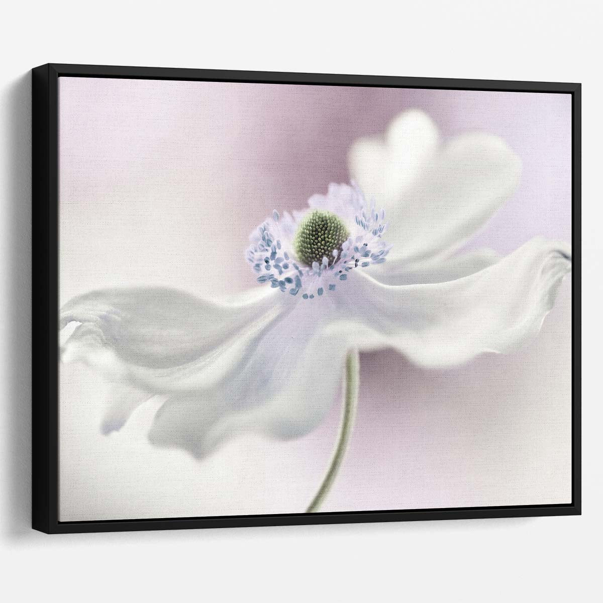 Delicate Pink Anemone Macro Floral Wall Art by Luxuriance Designs. Made in USA.