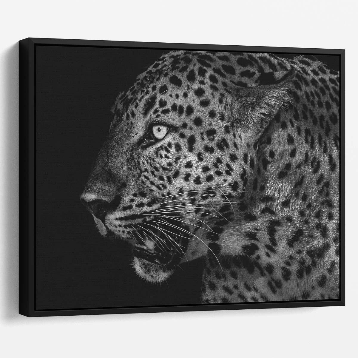 Black & White Leopard Profile Portrait Wall Art by Luxuriance Designs. Made in USA.