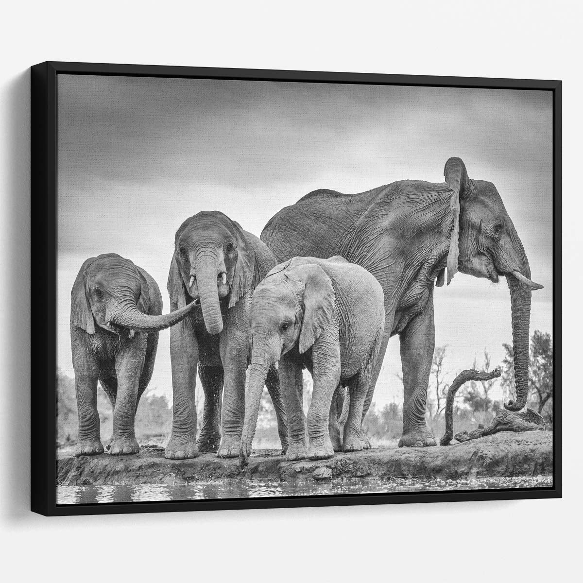 Majestic Elephant Family Gathering Wall Art in Monochrome by Luxuriance Designs. Made in USA.