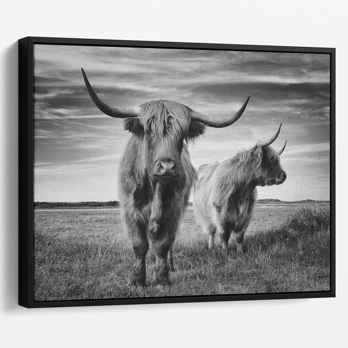 Highland Cattle in Monochrome Wildlife & Farm Landscape Wall Art