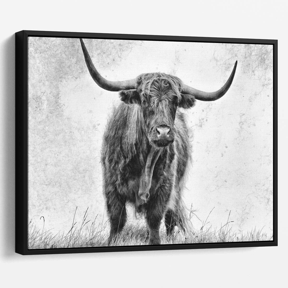 Monochrome Highland Cow in Countryside Field Wall Art by Luxuriance Designs. Made in USA.