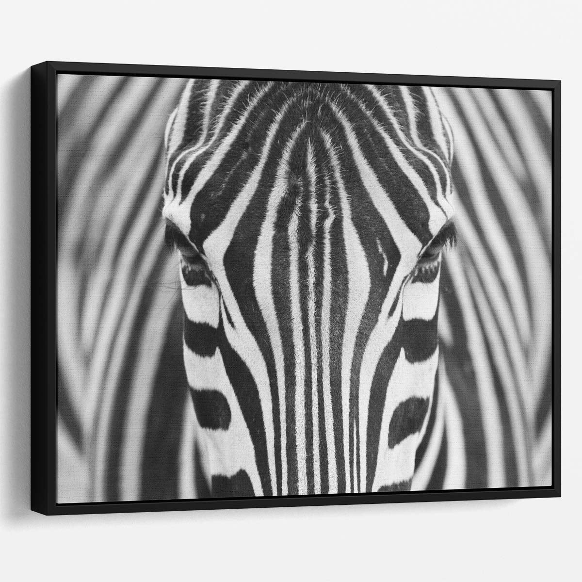 Monochrome Zebra Stripes Abstract Wildlife Wall Art by Luxuriance Designs. Made in USA.