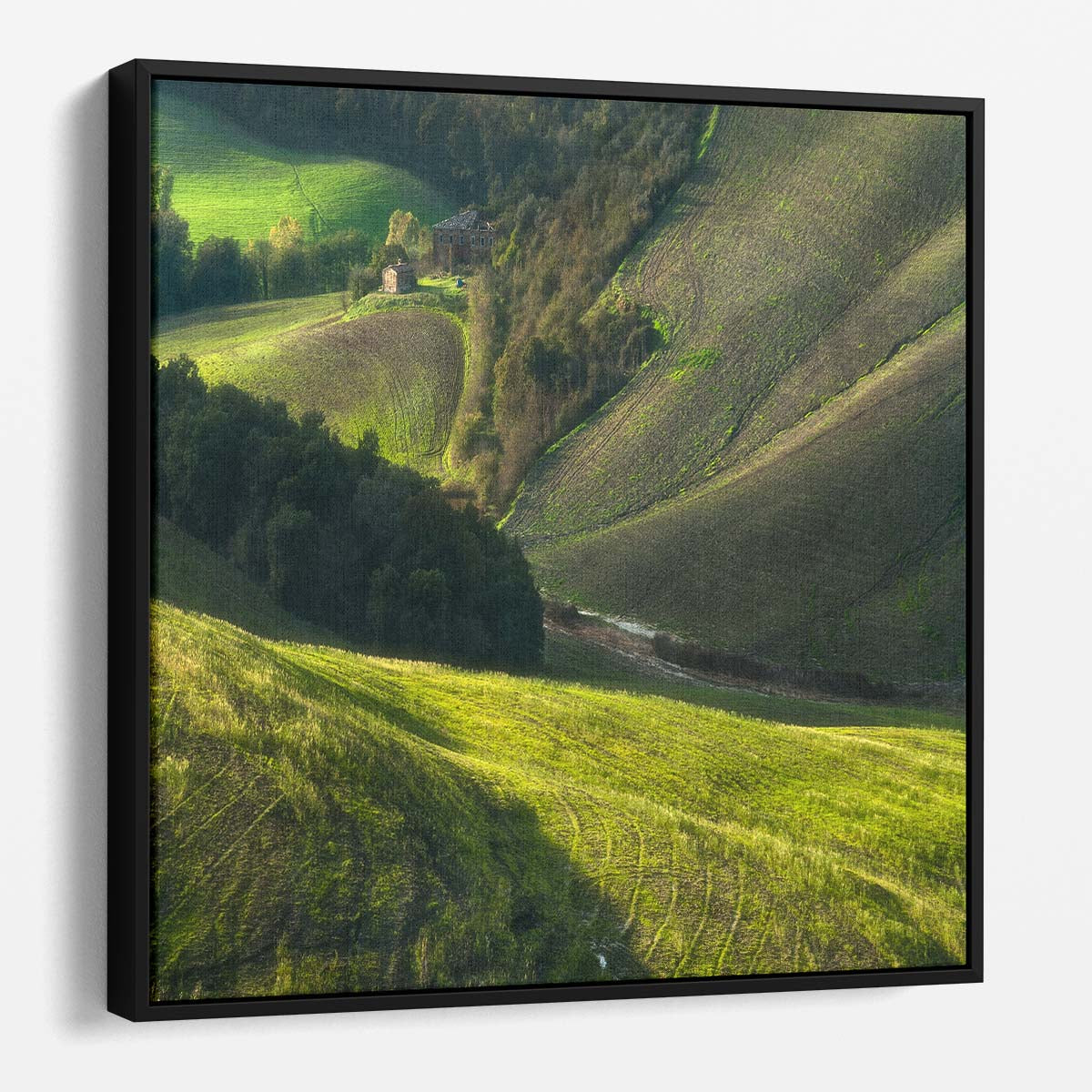 Rolling Hills & Farm Landscape of Tuscany Countryside Wall Art by Luxuriance Designs. Made in USA.