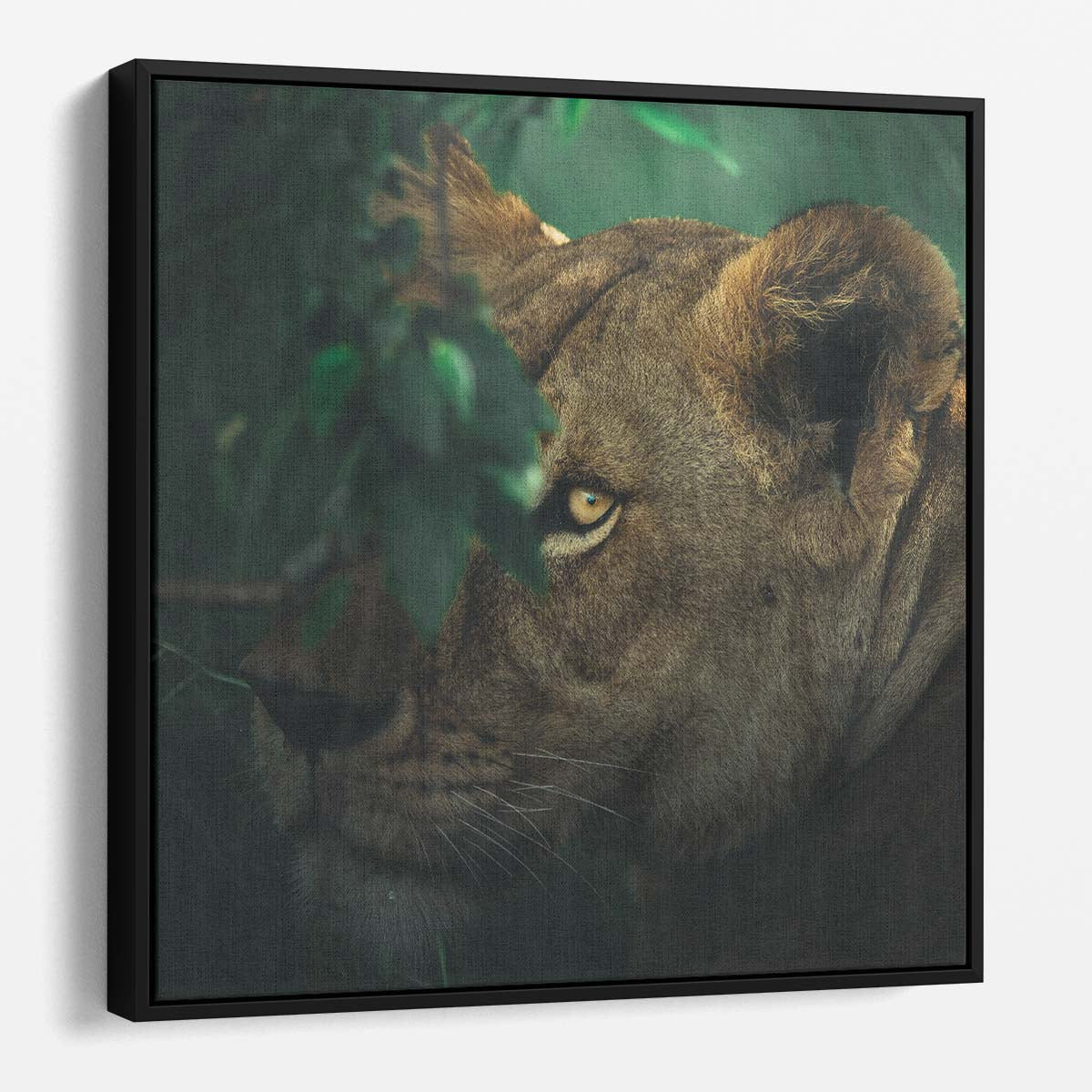 Lioness with Green Eyes Wildlife Photography Wall Art by Luxuriance Designs. Made in USA.