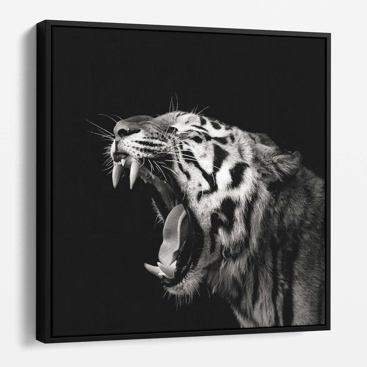 Roaring Tiger in Monochrome A Christian Meermann Photography Wall Art by Luxuriance Designs. Made in USA.