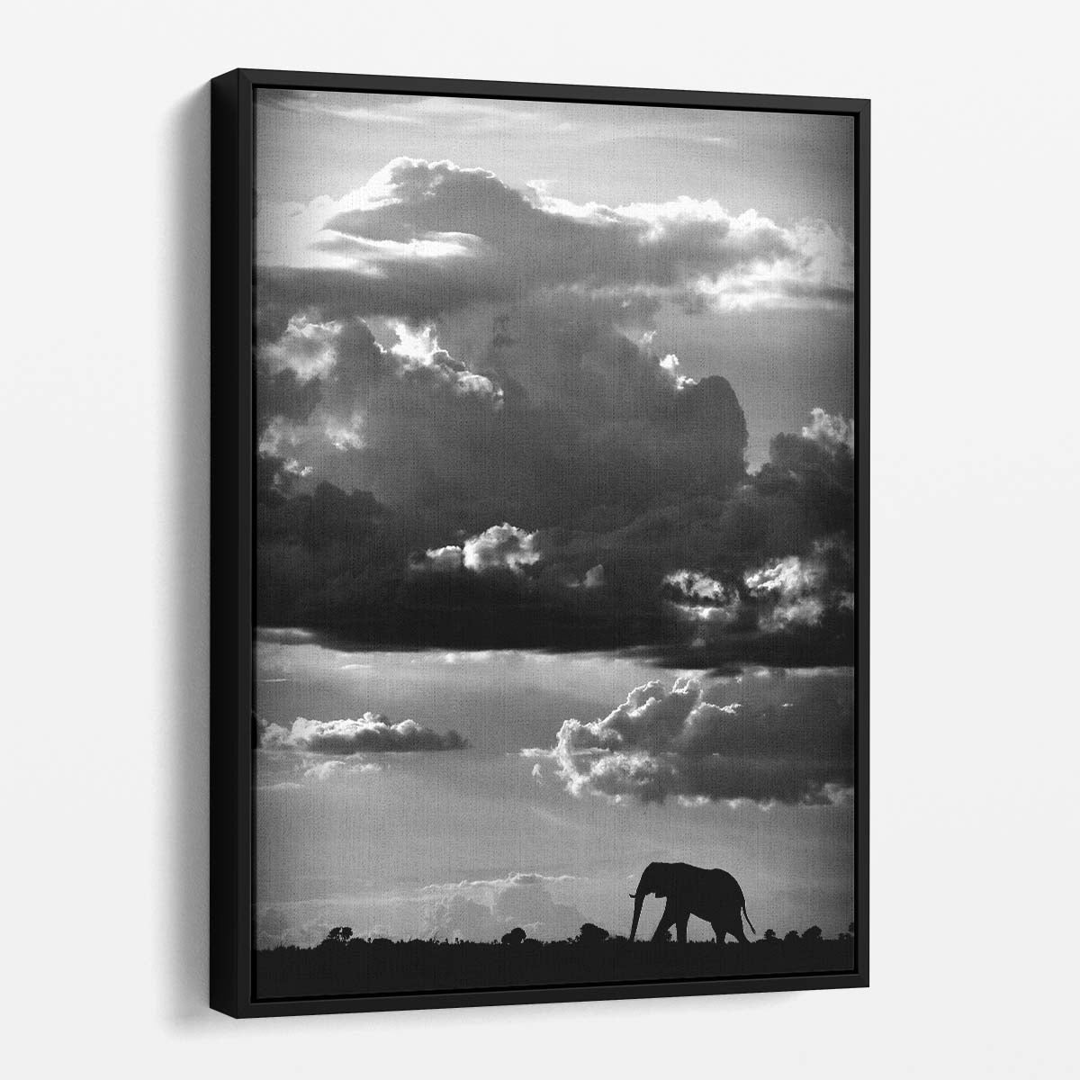 Majestic African Elephant Photography Artwork in Monochrome, Safari Wildlife Scene by Luxuriance Designs, made in USA